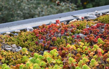 the cost of Chew Magna green roof installation