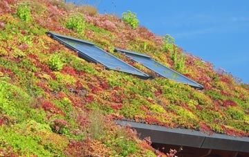 Chew Magna living roof systems
