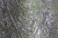 Chew Magna fibreglass roof work